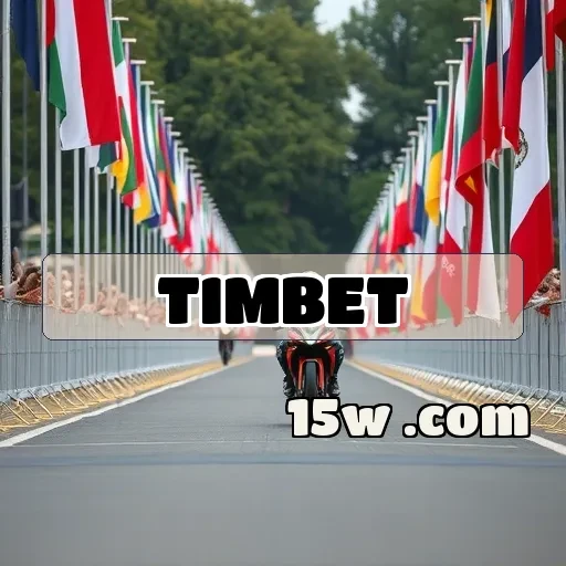 timbet.com Estratégias